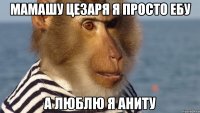 мамашу цезаря я просто ебу а люблю я аниту