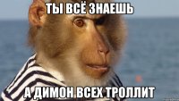 ты всё знаешь а димон всех троллит