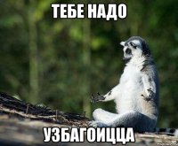 тебе надо узбагоицца