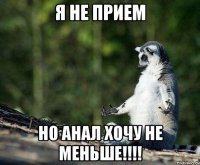 Я НЕ ПРИЕМ НО АНАЛ ХОЧУ НЕ МЕНЬШе!!!!