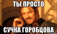 Ты просто сучка Горобцова
