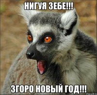 НИГУЯ ЗЕБЕ!!! ЗГОРО НОВЫЙ ГОД!!!