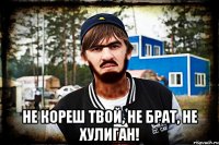  Не кореш твой, не брат, не хулиган!