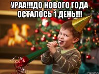 Ураа!!!До нового года осталось 1 день!!! 