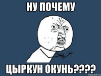 Ну почему Цыркун окунь????