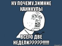 ну почему,зимние каникулы всего две недели?????!!!!!