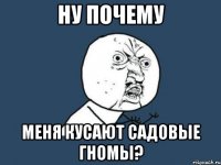 ну почему меня кусают садовые гномы?