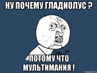 ну почему гладиолус ? потому что мультимания !