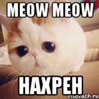 Meow meow Нахрен