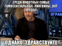 среди животных самые гомосексуальные- пингвины...вот уроды! однако, здравствуйте