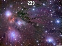 229 