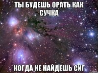 Ты будешь орать как сучка Когда не найдешь сиг