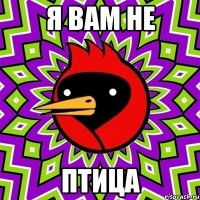 я вам не птица