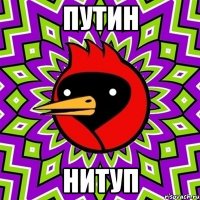 путин нитуп
