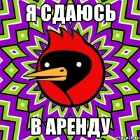Я сдаюсь В аренду