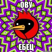 ОВУ ЕБЕЦ