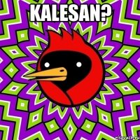 kalesan? 