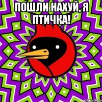 пошли нахуй, я птичка! 