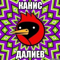 КАНИС ДАЛИЕВ