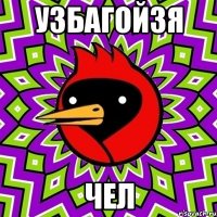 Узбагойзя Чел