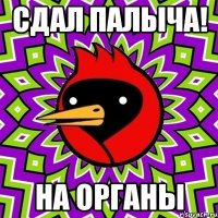 Сдал Палыча! на органы