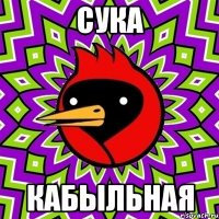 Сука Кабыльная