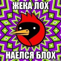 Жека лох наелся блох