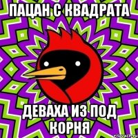 пацан с квадрата деваха из под корня