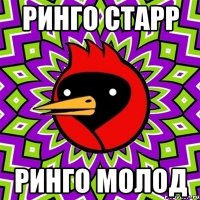 Ринго Старр Ринго молод