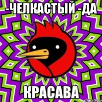 -челкастый -да красава