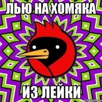 Лью на хомяка Из лейки