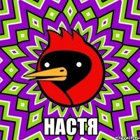  настя