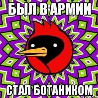был в армии стал ботаником