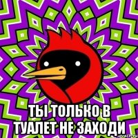  ты только в туалет не заходи