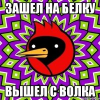 зашел на белку вышел с волка