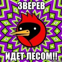 Зверев Идет лесом!!
