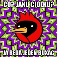 Co? jaku ciolku? ja beda jeden buxac
