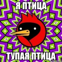 Я птица Тупая птица