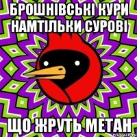 Брошнівські кури намтільки сурові що жруть метан