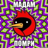Мадам Помри