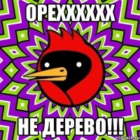 ОРЕХХХХХХ НЕ ДЕРЕВО!!!