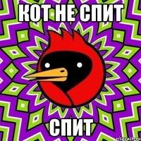 Кот не спит Спит