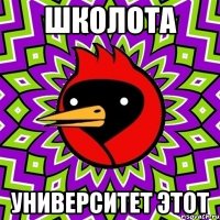 Школота Университет этот