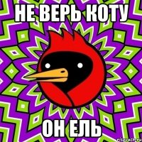 НЕ ВЕРЬ КОТУ ОН ЕЛЬ