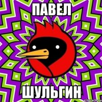 Павел Шульгин