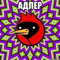 Адлер 