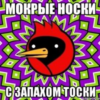 мокрые носки с запахом тоски