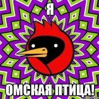Я омская птица!