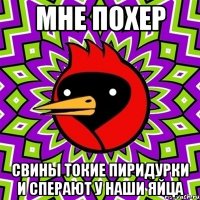 мне похер свины токие пиридурки и сперают у наши яйца