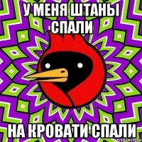 У меня штаны спали На кровати спали
